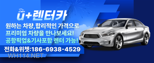 위해렌터카.png